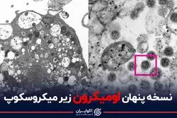 نسخه پنهان اومیکرون زیر میکروسکوپ
