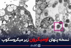 نسخه پنهان اومیکرون زیر میکروسکوپ