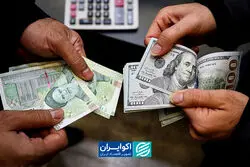 راز ارزانی «دلار تراولی»