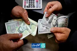 راز ارزانی «دلار تراولی»
