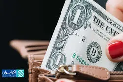 کف بازار | کنترل قیمت، از شیر تا دلار