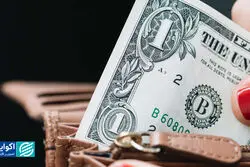 کف بازار | کنترل قیمت، از شیر تا دلار