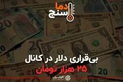 بی‌قراری دلار در کانال ۲۵ هزار تومان