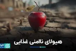 هیولای ناامنی غذایی/ امنیت غذایی پیش‌نیاز توسعه کشورها