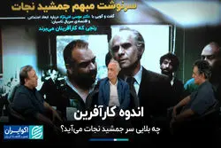 اندوه کارآفرین