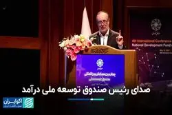 انتقاد رئیس صندوق توسعه ملی 