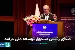 انتقاد رئیس صندوق توسعه ملی 