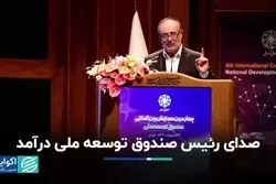 انتقاد رئیس صندوق توسعه ملی 