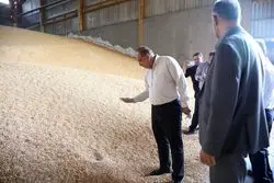 روایت سه ساله از رانت ارزی؛ بخش کشاورزی در صدر