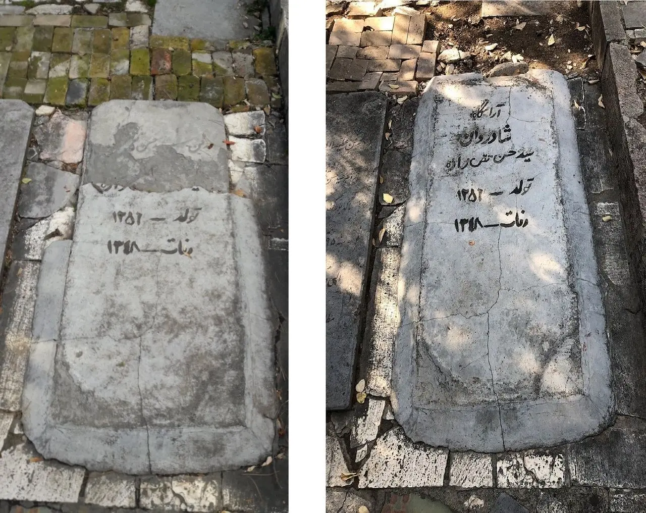 فرصت‌طلبیِ سیاسی به تقی‌زاده نمی‌چسبد