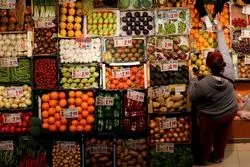 مواد غذایی جهانی ارزان شد؟