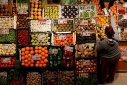مواد غذایی جهانی ارزان شد؟