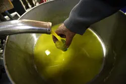 رسوب 150 هزار تن روغن خام در بنادر؛ ترخیص در انتظار تخصیص ارز