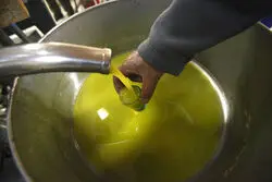 درخواست انجمن روغن نباتی از دولت
