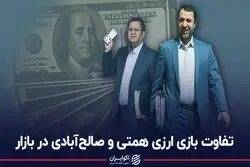 تفاوت بازی ارزی همتی و صالح‌آبادی در بازار