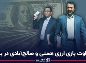 تفاوت بازی ارزی همتی و صالح‌آبادی در بازار