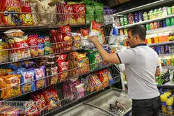 تحلیل بنیادی سهام غمینو / بررسی سود شش ماهه شرکت مینو شرق 
