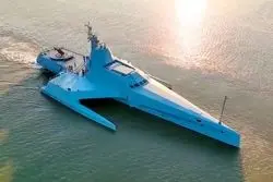 نهنگ قاتل چینی