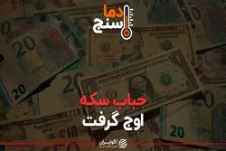 حباب سکه اوج گرفت

