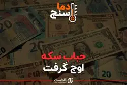 حباب سکه اوج گرفت
