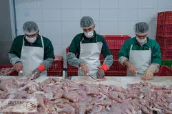 صنایع غذایی ایران بر لبه تیغ