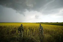 خلف وعده روسیه، غلات را گران کرد