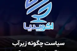 قسمت سیزدهم اکوپدیا: نهادهای باز سیاسی ضامن رشد پایدار اقتصادی