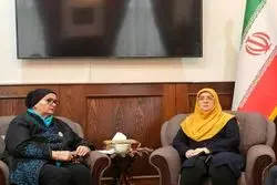 دیدار سخنگوی دولت ایران با وزیر خارجه پیشین بوسنی