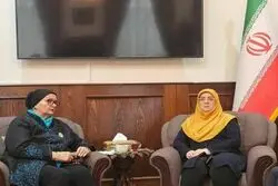 دیدار سخنگوی دولت ایران با وزیر خارجه پیشین بوسنی