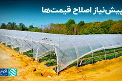 پیش‌نیاز اصلاح قیمت‌ها