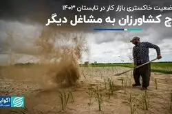 کشاورزان به مشاغل دیگر کوچ کردند/ گرگ و میش بازار کار در تابستان