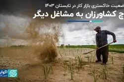 کشاورزان به مشاغل دیگر کوچ کردند/ گرگ و میش بازار کار در تابستان