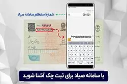 کار با سامانه صیاد؛ همه چیز درباره چک‌های جدید
