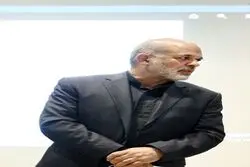 وزیر کشور: عناصر فرانسه و داعش درمیان دستگیرشدگان