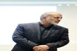 وزیر کشور: عناصر فرانسه و داعش درمیان دستگیرشدگان