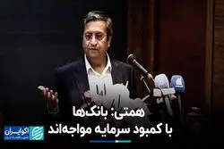 عبدالناصر همتی: بانک‌ها با کمبود سرمایه مواجه‌اند