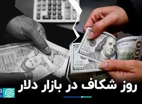 شکاف شدید در بازار دلار: داده‌های متناقض، تحلیل‌های متفاوتی ایجاد کرد