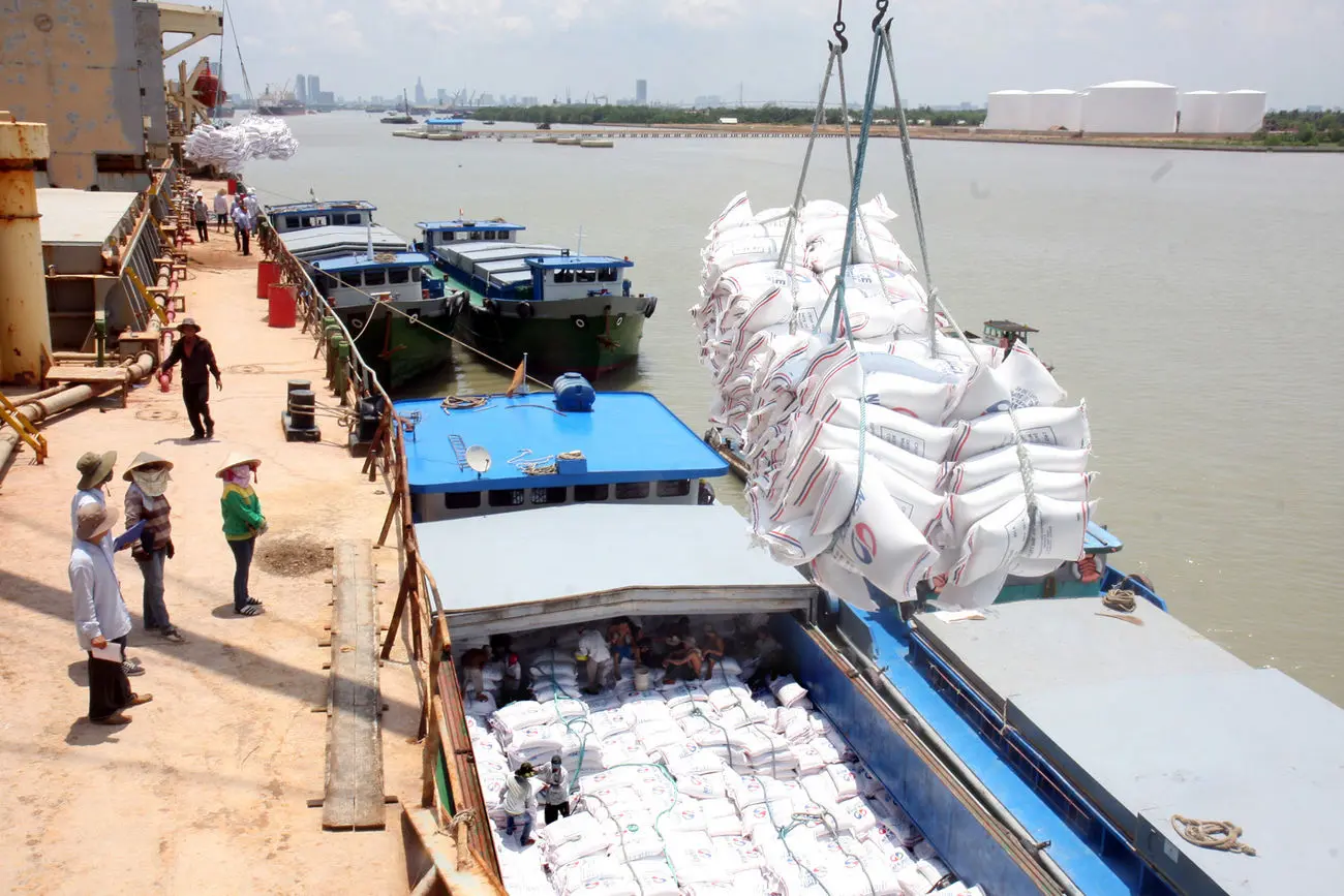 سقف واردات برنج دست تجار را بست