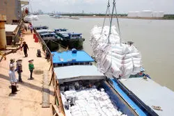 سقف واردات برنج دست تجار را بست