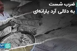 ضرب شست به دلالی آرد یارانه‌ای