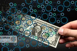 حذف ارز ترجیحی و بازتنظیم صنایع