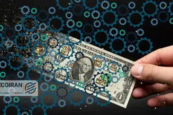 حذف ارز ترجیحی و بازتنظیم صنایع