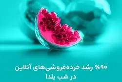 فینتک، خرده‌فروش‌ها و غذا؛ پر ترافیک‌های یلدای ۱۴۰۴