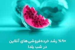 فینتک، خرده‌فروش‌ها و غذا؛ پر ترافیک‌های یلدای ۱۴۰۴