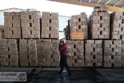 هشدار رئیس اتاق تهران برای صعود قیمت کالا