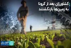 کشاورزان بعد از کرونا به زمین‌ها بازنگشتند