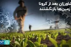 کشاورزان بعد از کرونا به زمین‌ها بازنگشتند