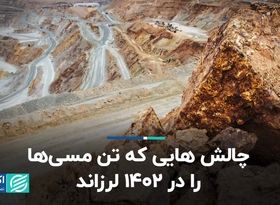 نارضایتی در بنگاه‌های کوچک و متوسط مسی