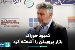 آشفتگی بازار پروپیلن به دلیل کمبود خوراک