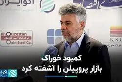 آشفتگی بازار پروپیلن به دلیل کمبود خوراک